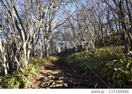 浅間隠山、登山、群馬県 115289908
