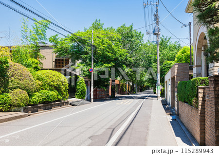 住宅街・高級住宅地イメージ　成城 115289943