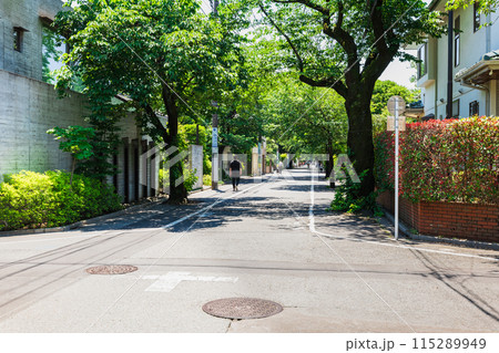 住宅街・高級住宅街イメージ 成城 住宅街・高級住宅街イメージ 成城 115289949