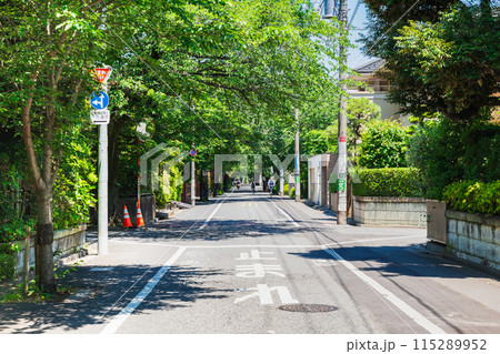 住宅街・高級住宅街イメージ　成城 115289952