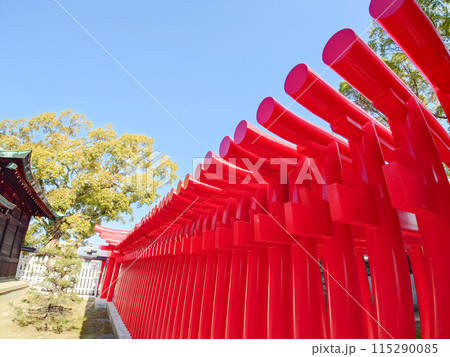 朱色の鳥居が連なる風景 朱色の鳥居が連なる風景 115290085