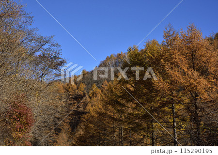 浅間隠山、登山、群馬県 115290195