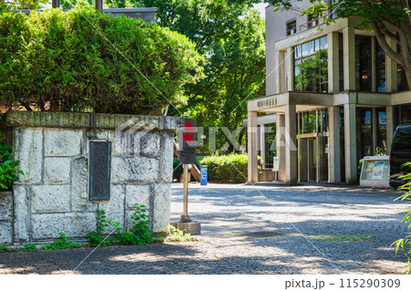 東京　成城大学 115290309