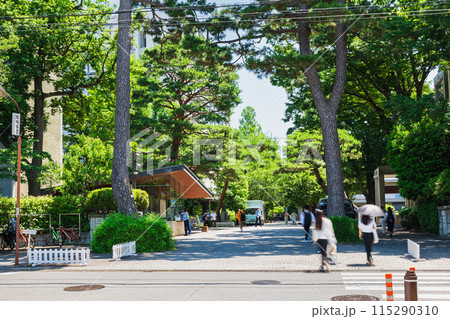 東京 成城大学 東京 成城大学 115290310