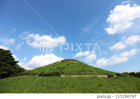 川和富士公園 川和富士公園 115290797