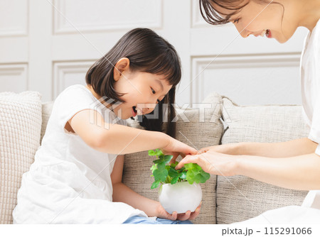 お母さんと娘 お母さんと娘 115291066