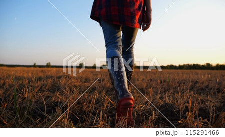 Female feet of young farmer going through the barley plantation at sunset. Legs of agronomist in boots walking among wheat meadow at dusk. Concept of agricultural business. Slow mo 115291466