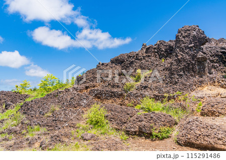 （長野県）平沢峠・しし岩（獅子岩） 115291486