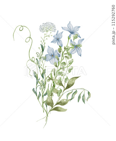Watercolor wildflowers bouquet. Botanical arrangement of wild flowers and herbs. Summer floral composition Watercolor wildflowers bouquet. Botanical arrangement of wild flowers and herbs. Summer floral composition 115292760