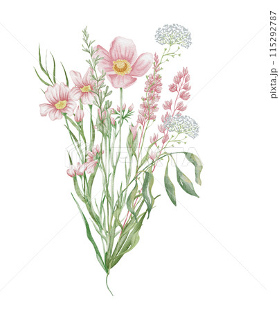 Watercolor wildflowers bouquet. Botanical arrangement of wild flowers and herbs. Summer floral composition 115292787