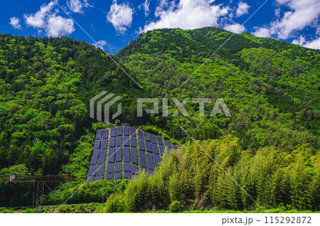 新緑の山と太陽光パネル 115292872