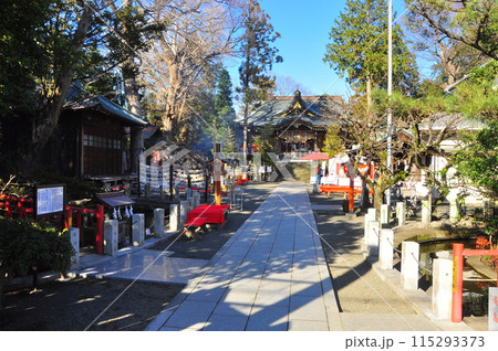 神奈川県大磯町 六所神社の正月風景 神奈川県大磯町 六所神社の正月風景 115293373