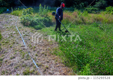 A man cuts and mows the grass. Grass cutting work. Worker mows lawn with grass A man cuts and mows the grass. Grass cutting work. Worker mows lawn with grass 115293528