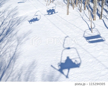 雪上の影 115294305