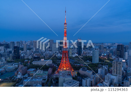 《東京都》東京都市夜景・東京の中心 《東京都》東京都市夜景・東京の中心 115294363