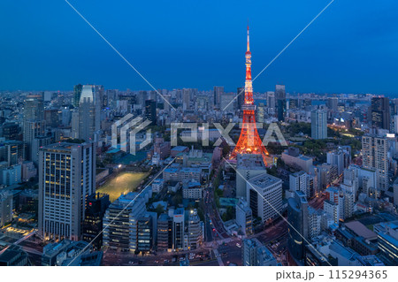 《東京都》東京都市夜景・東京の中心 115294365