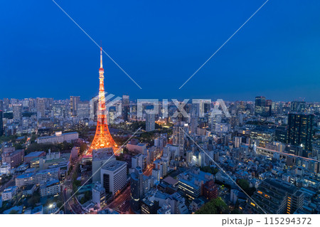 《東京都》東京都市夜景・東京の中心 《東京都》東京都市夜景・東京の中心 115294372