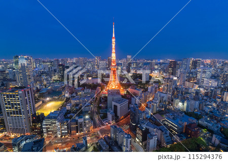 《東京都》東京都市夜景・東京の中心 115294376