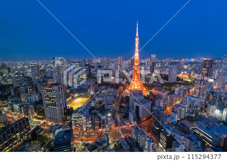 《東京都》東京都市夜景・東京の中心 《東京都》東京都市夜景・東京の中心 115294377