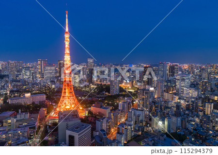 《東京都》東京都市夜景・東京の中心 115294379