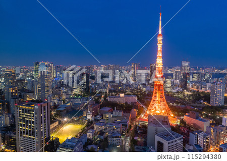 《東京都》東京都市夜景・東京の中心 115294380