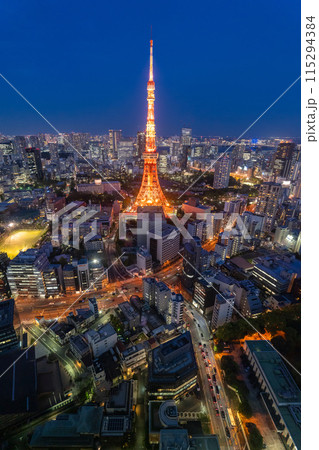 《東京都》東京都市夜景・東京の中心 115294384