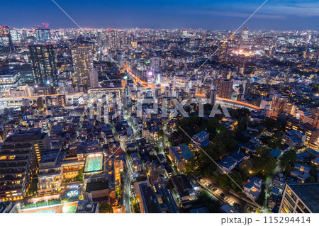 《東京都》東京スカイライン・都市夜景 115294414