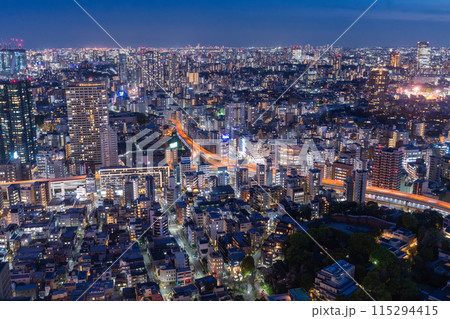 《東京都》東京スカイライン・都市夜景 《東京都》東京スカイライン・都市夜景 115294415