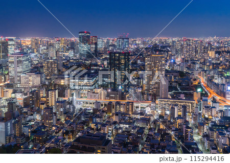 《東京都》東京スカイライン・都市夜景 《東京都》東京スカイライン・都市夜景 115294416