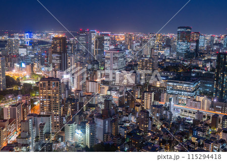 《東京都》東京スカイライン・都市夜景 115294418