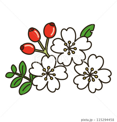 ノイバラ 115294458