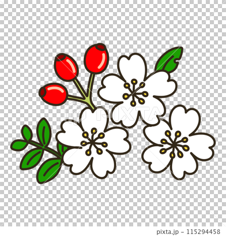 ノイバラ 115294458