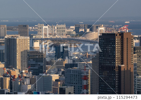 《東京都》東京スカイライン・都市夕景 115294473