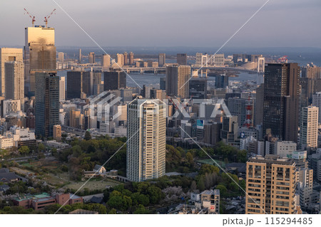 《東京都》東京スカイライン・都市夕景 115294485