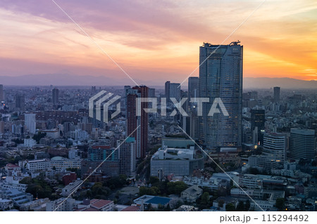 《東京都》東京スカイライン・都市夕景 115294492