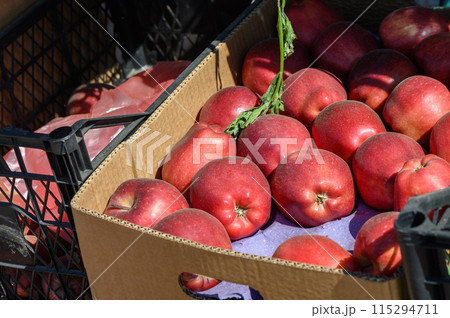 red apples in a box near a store in Cyprus 1 red apples in a box near a store in Cyprus 1 115294711