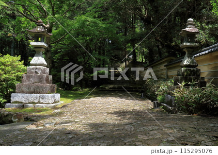 初夏の参道　五台山竹林寺　（高知県　高知市） 115295076