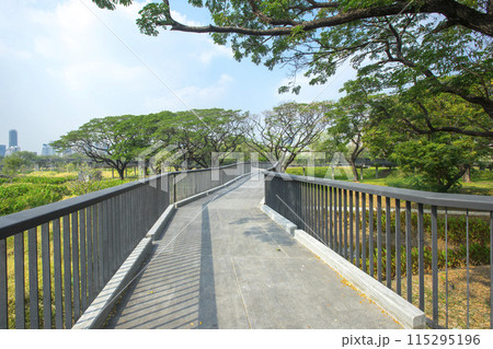 Benjakitti Forest Park, is new landmark public park of central Bangkok in Bangkok, Thailand. 115295196