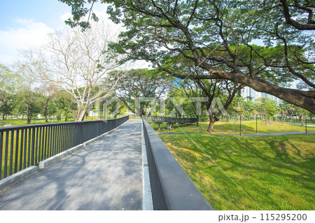 Benjakitti Forest Park, is new landmark public park of central Bangkok in Bangkok, Thailand. 115295200