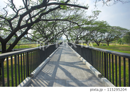 Benjakitti Forest Park, is new landmark public park of central Bangkok in Bangkok, Thailand. Benjakitti Forest Park, is new landmark public park of central Bangkok in Bangkok, Thailand. 115295204