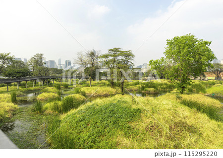 Benjakitti Forest Park, is new landmark public park of central Bangkok in Bangkok, Thailand. Benjakitti Forest Park, is new landmark public park of central Bangkok in Bangkok, Thailand. 115295220