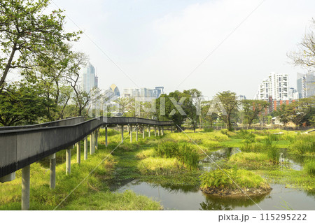 Benjakitti Forest Park, is new landmark public park of central Bangkok in Bangkok, Thailand. 115295222