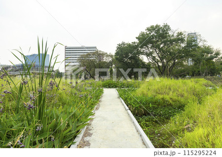 Benjakitti Forest Park, is new landmark public park of central Bangkok in Bangkok, Thailand. Benjakitti Forest Park, is new landmark public park of central Bangkok in Bangkok, Thailand. 115295224