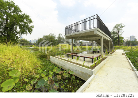 Benjakitti Forest Park, is new landmark public park of central Bangkok in Bangkok, Thailand. Benjakitti Forest Park, is new landmark public park of central Bangkok in Bangkok, Thailand. 115295225