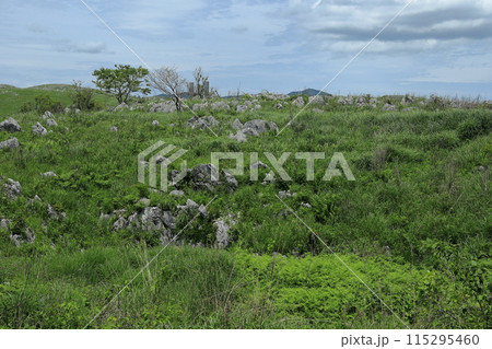 秋芳洞と秋吉台 秋芳洞と秋吉台 115295460