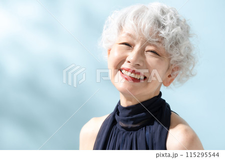 ビューティー　グレイヘア　女性 115295544