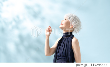 ビューティー　グレイヘア　女性 115295557
