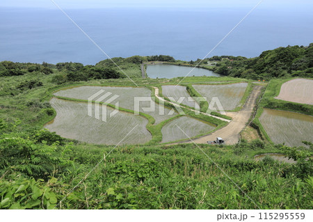 東後畑棚田 東後畑棚田 115295559