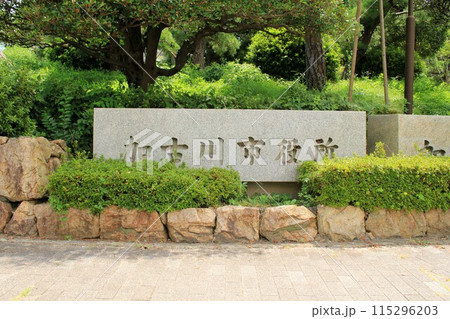加古川市役所 加古川市役所 115296203