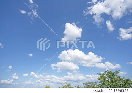 初夏の雲と木立 初夏の雲と木立 115296338